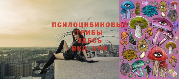 кокс Белокуриха