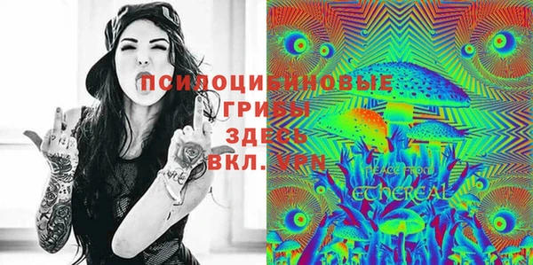 спиды Белоозёрский