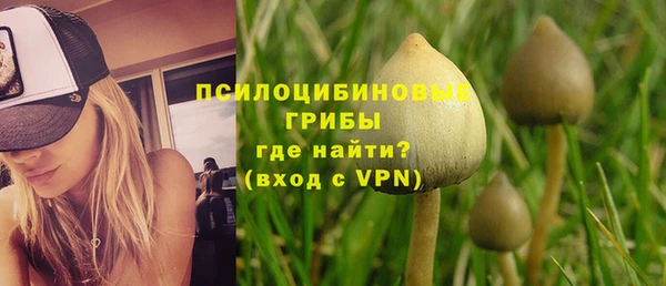 кокс Белокуриха