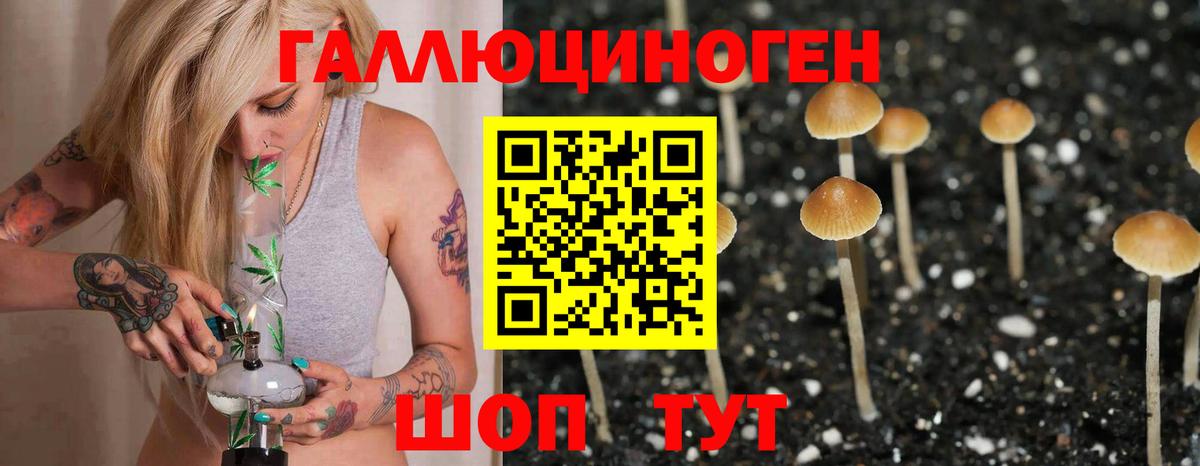 Галлюциногенные грибы ЛСД Горячий Ключ