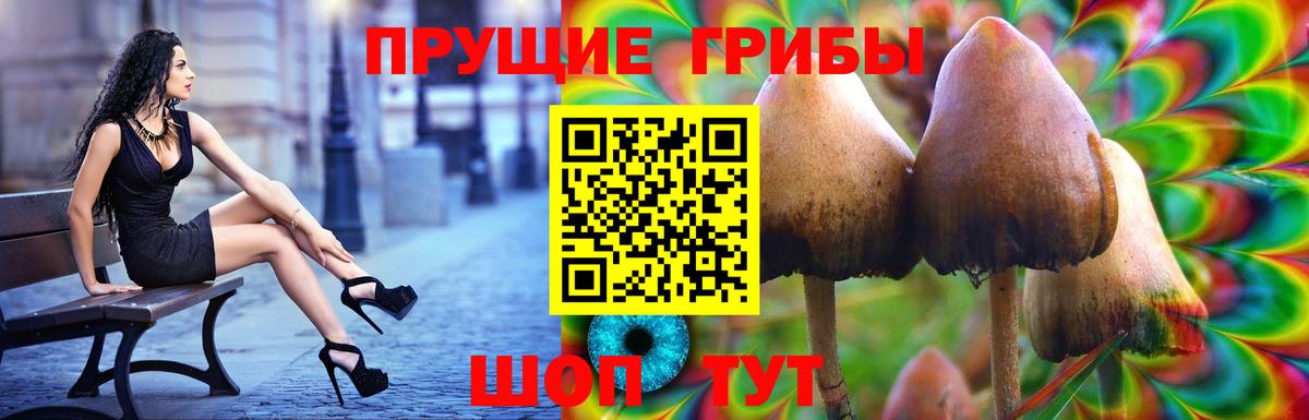 Галлюциногенные грибы мицелий  Горячий Ключ 