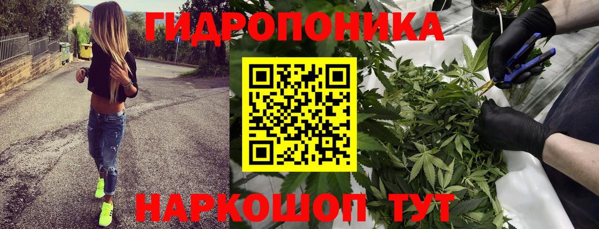 Канабис MAZAR Горячий Ключ
